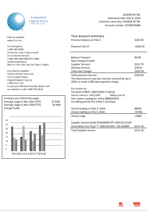 USA Connecticut Light & Power electricity business utility bill in Word and PDF formats